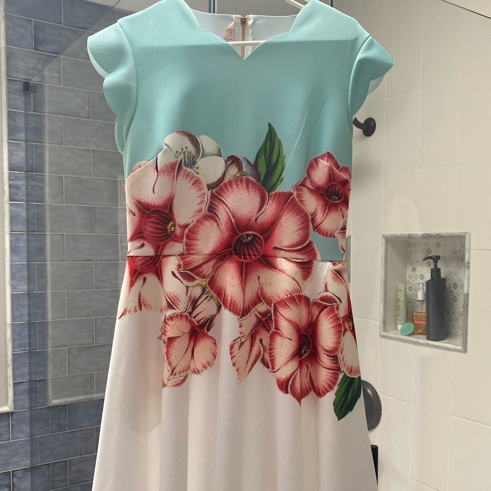 Ted Baker Fit and Flair Dress